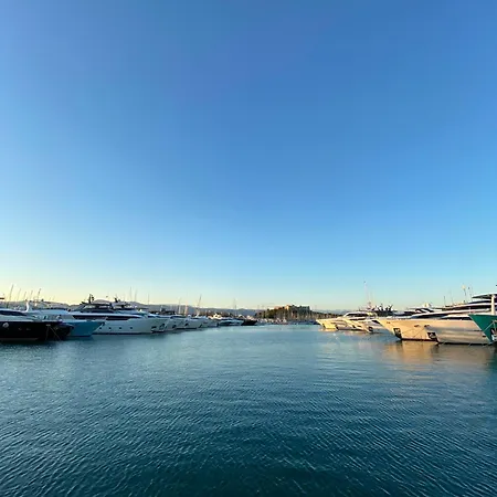 Chamant T3 Avec Terrasse Au Coeur D'antibes A 10min A Pieds De La Mer Apartment Antibes